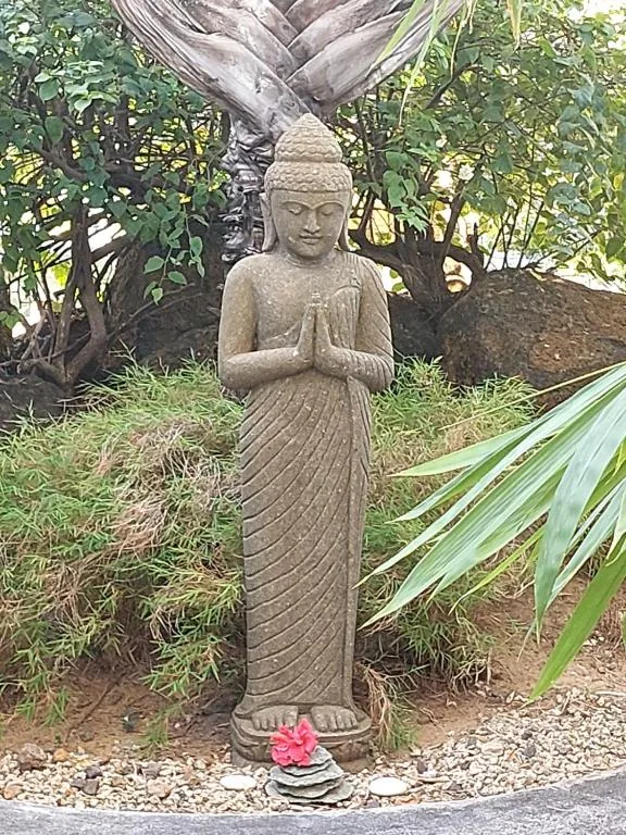 Brahman Hut — photo 14